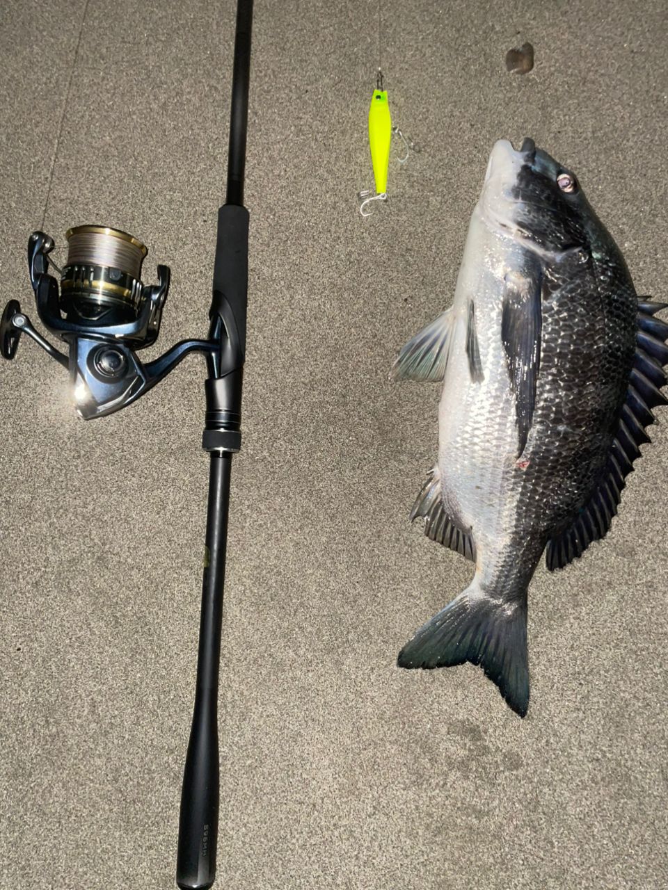 SHIMANO - シマノ  ディアルーナ　96MH S96MH 23 ディアルーナ SHIMANO(シマノ) 全長2.9m寸法148.6cm