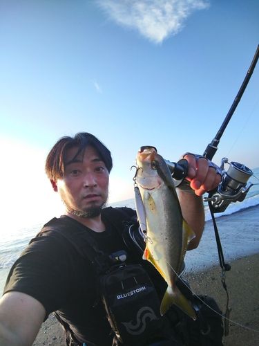 ショゴの釣果