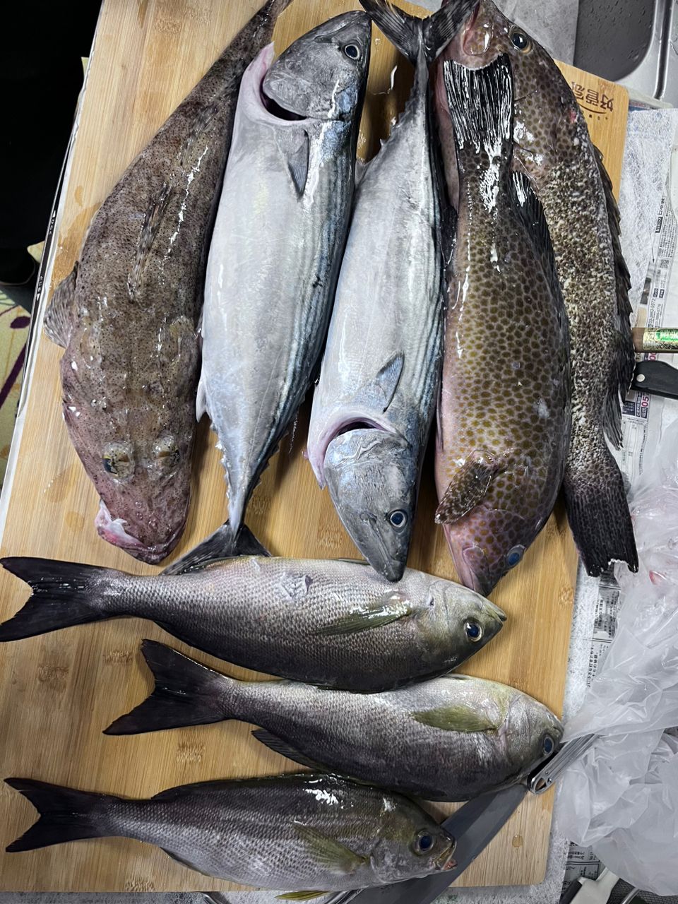 まｧさんの釣果 2枚目の画像