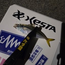 アジ