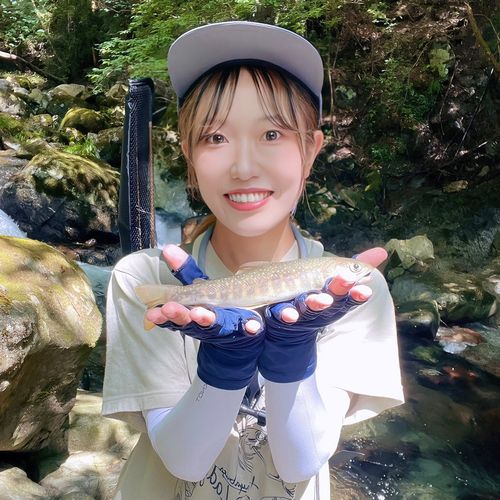 イワナの釣果