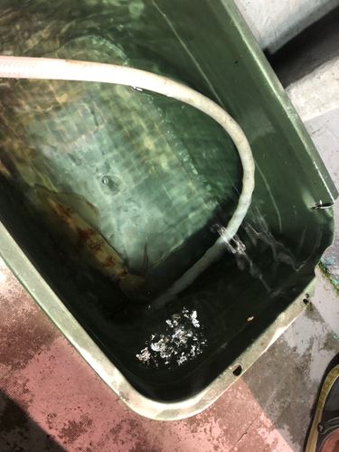 アカイカの釣果