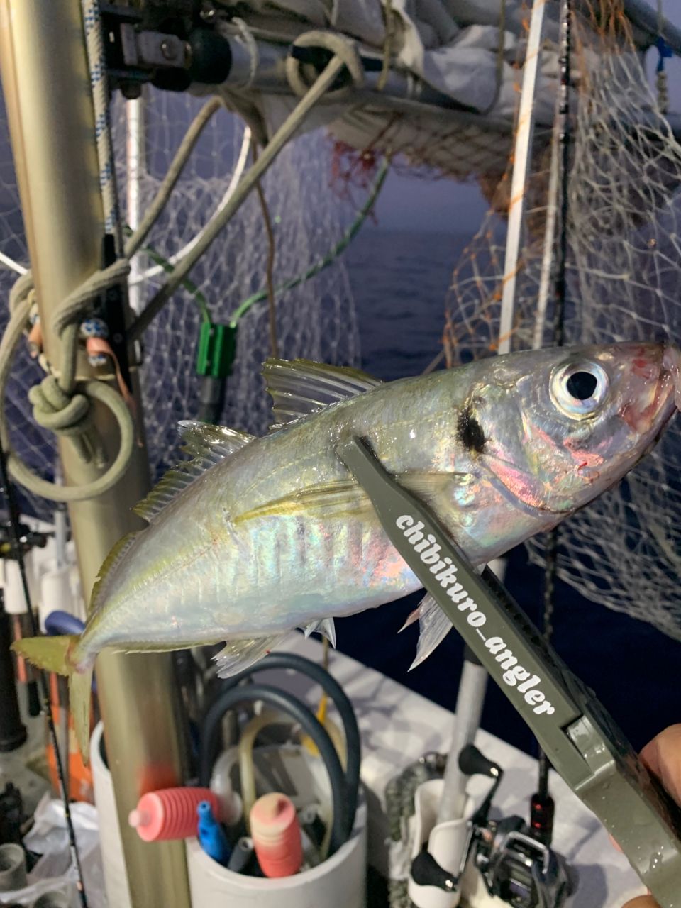 chibikuro_anglerさんの釣果 2枚目の画像