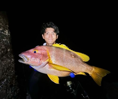 フエダイの釣果