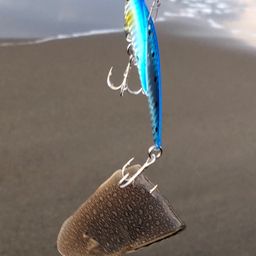 シタビラメ
