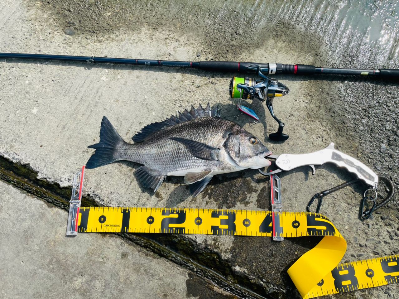 SHIMANO 21アルテグラ C3000HGの最安値・インプレ・釣果 | 本音