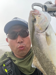 ショゴの釣果