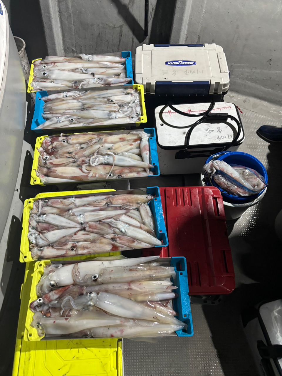 田畑良朗@なつき丸さんの釣果 2枚目の画像