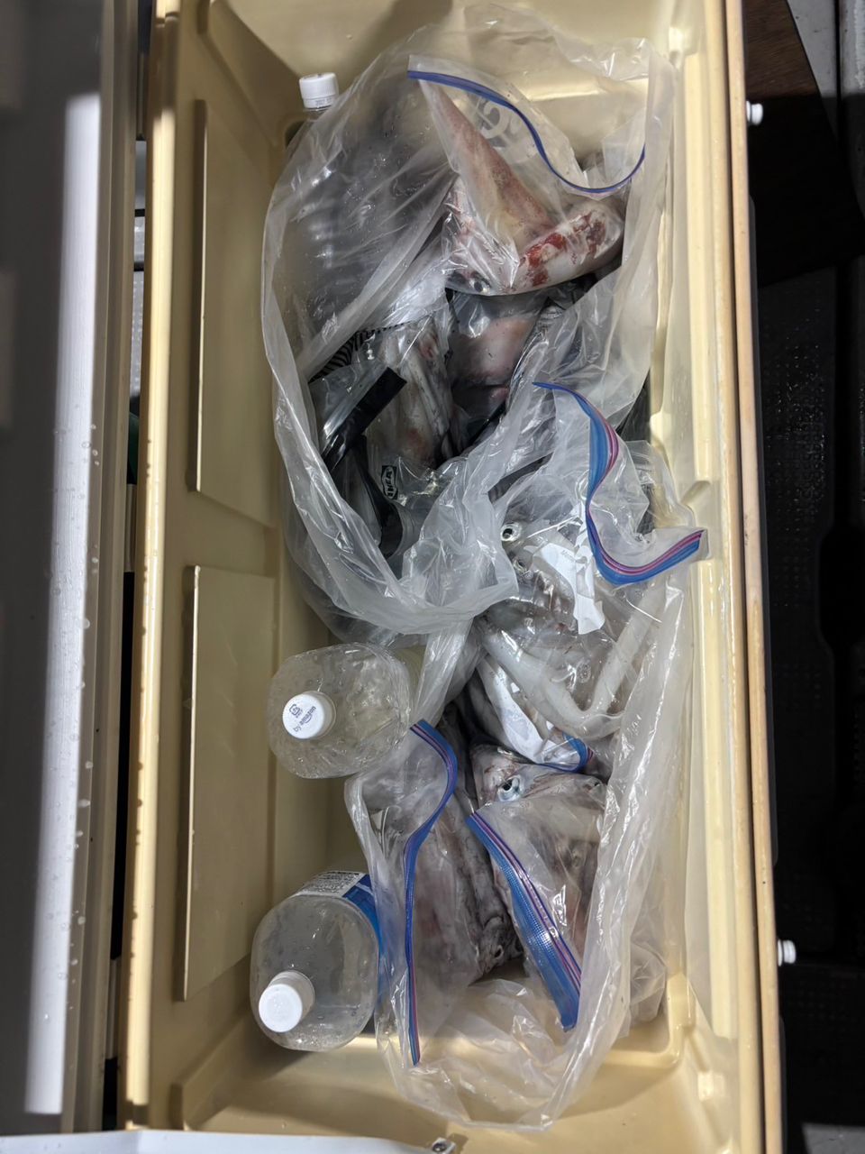 田畑良朗@なつき丸さんの釣果 3枚目の画像