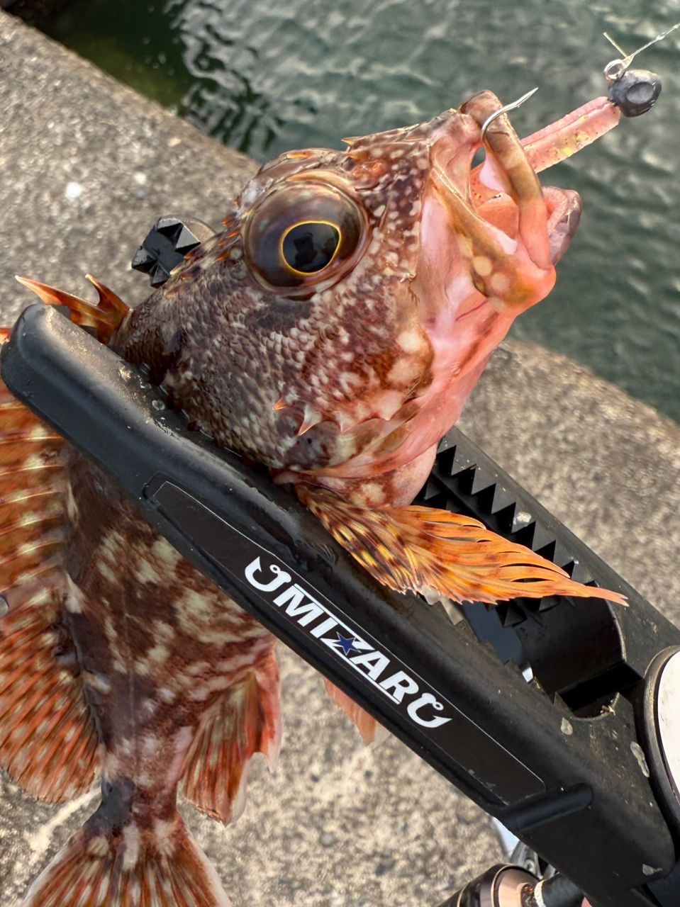 DAIWA 18イグジスト FC LT1000S-Pの最安値・インプレ・釣果