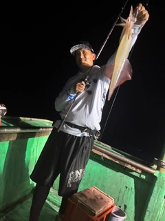 ケンサキイカの釣果
