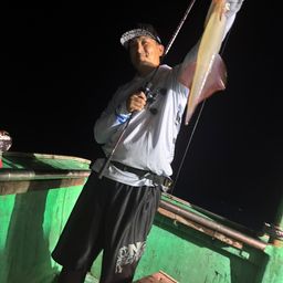 ケンサキイカ