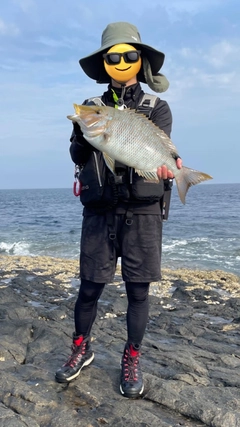 タマンの釣果