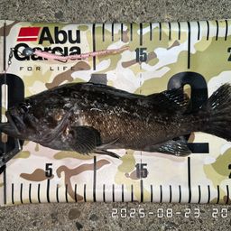 クロソイ