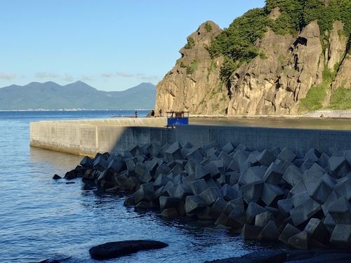 ワカシの釣果