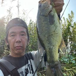 ブラックバス