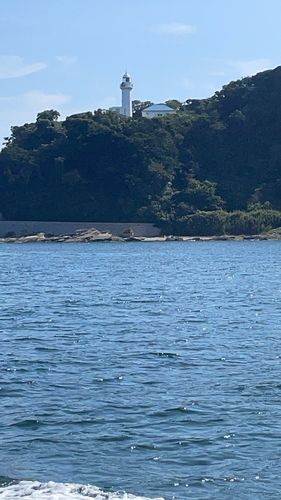イサキの釣果