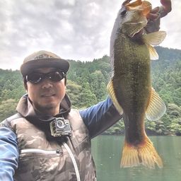 ブラックバス