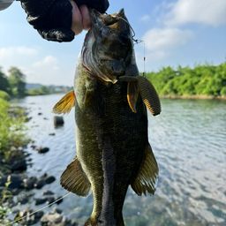 スモールマウスバス