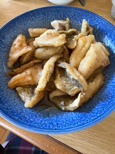 フエフキダイの釣果