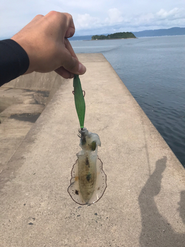 釣果