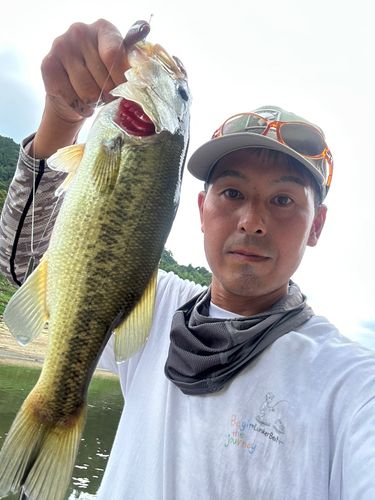 ラージマウスバスの釣果