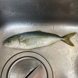 フクラギ