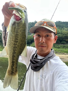ラージマウスバスの釣果