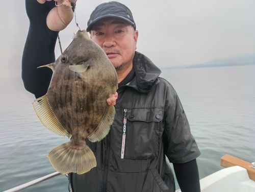 カワハギの釣果