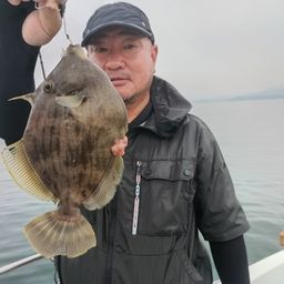 カワハギ