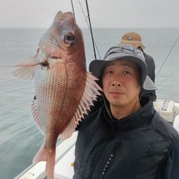 マダイ