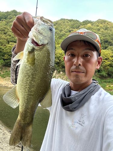 ラージマウスバスの釣果