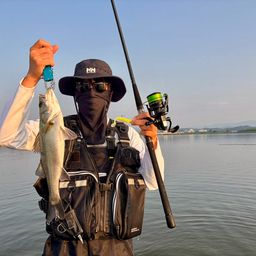 コノシロ
