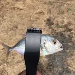 メッキ
