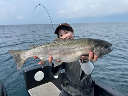 ビワマスの釣果