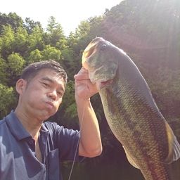 ブラックバス