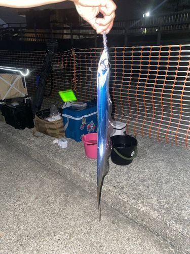 釣果