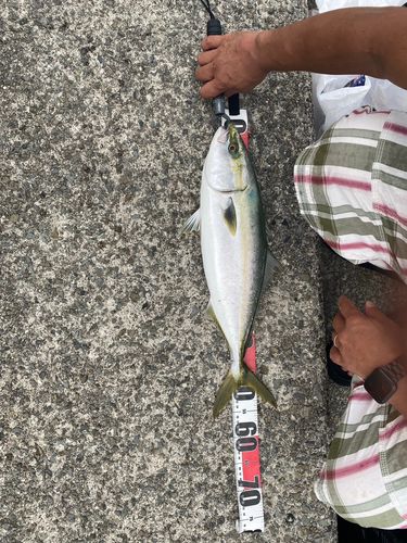 釣果