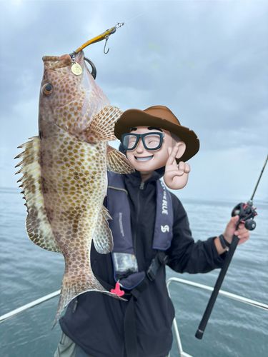 オオモンハタの釣果