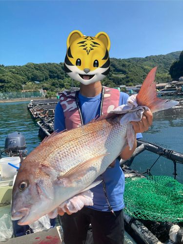 タイの釣果