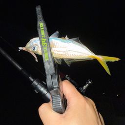 アジ
