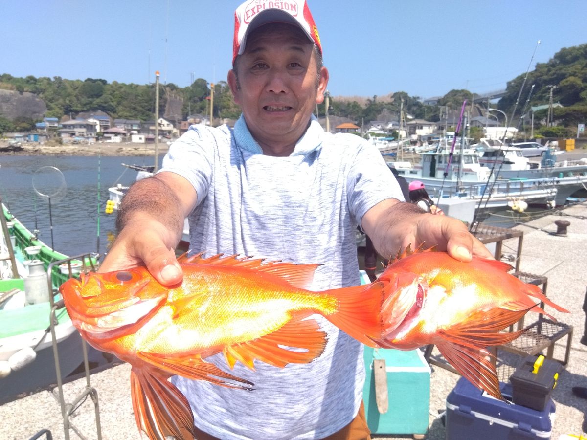 せどおと丸さんの釣果 2枚目の画像
