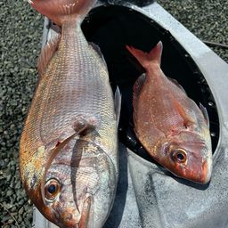 タイ