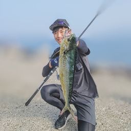 シイラ