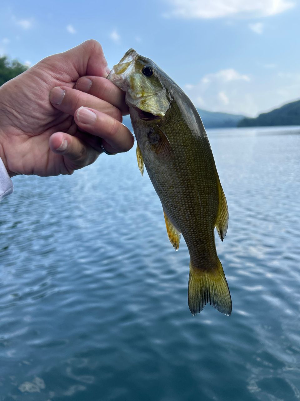 スモールマウスバス