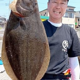 ヒラメ