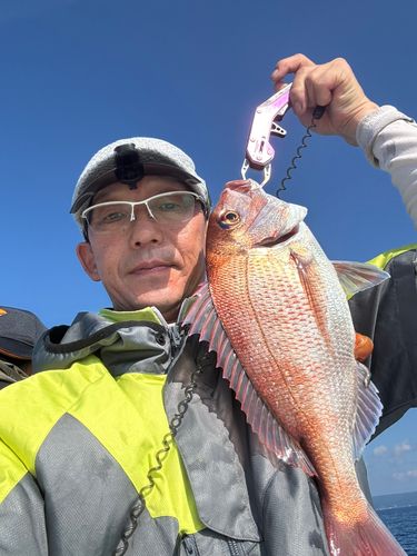 タイの釣果