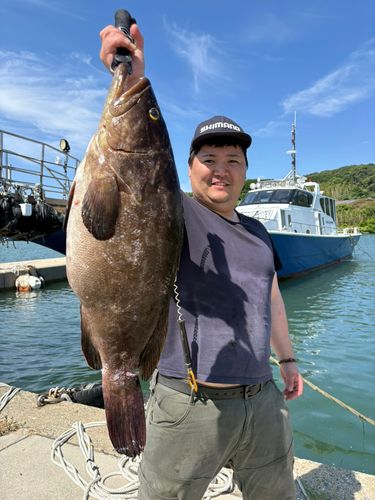 クエの釣果