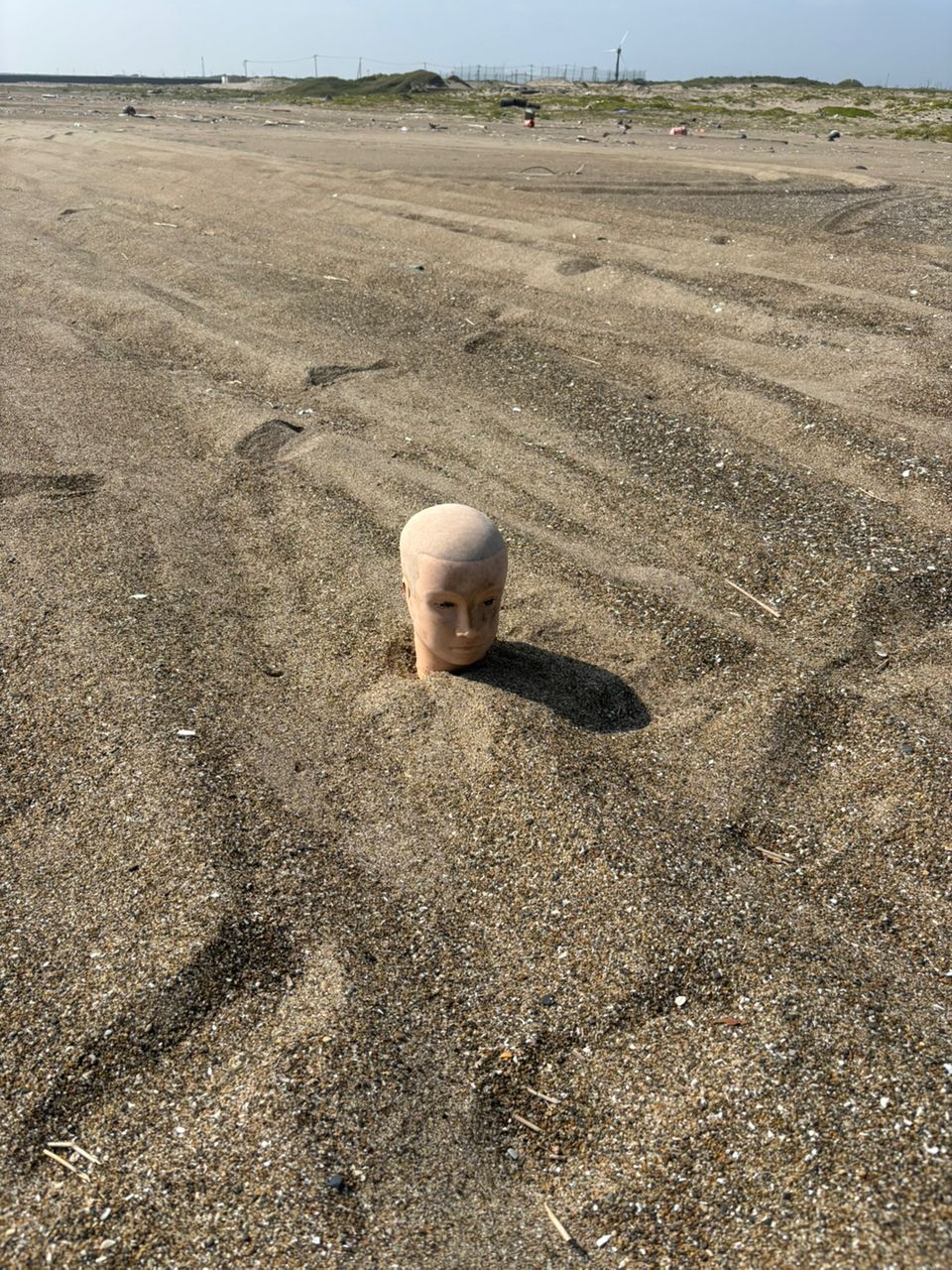 マゴチ