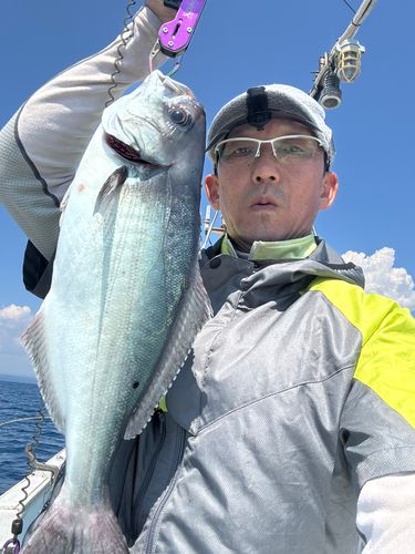 タイの釣果